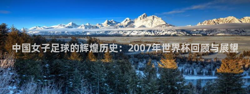 今年的世界杯：中国女子足球的辉煌历史：2007年世界杯回顾与展望