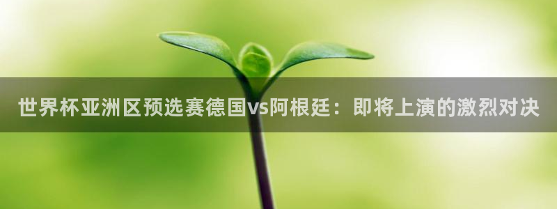 足球世界杯：世界杯亚洲区预选赛德国vs阿根廷：即将上演的激烈对决
