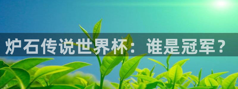 世界杯 赛程：炉石传说世界杯：谁是冠军？
