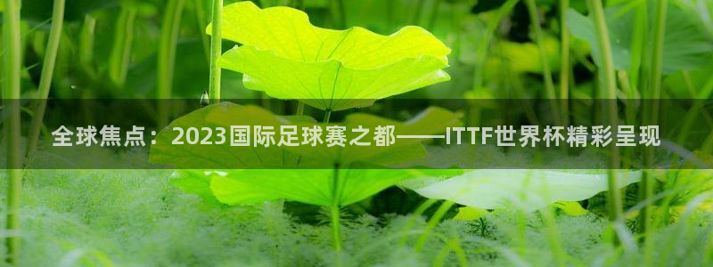 世界杯决赛圈球队：全球焦点：2023国际足球赛之都——ITTF世界杯精彩呈现