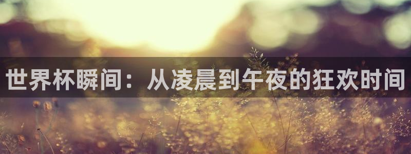女足世界杯直播：世界杯瞬间：从凌晨到午夜的狂欢时间