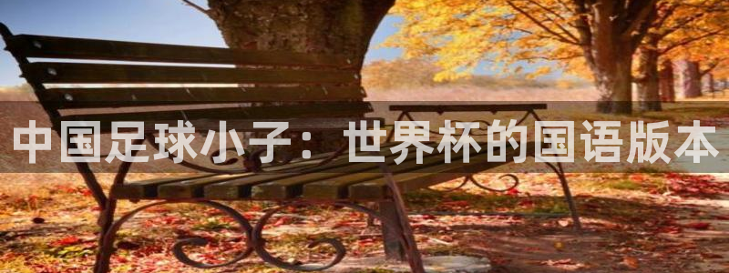 世预赛欧洲赛程表：中国足球小子：世界杯的国语版本