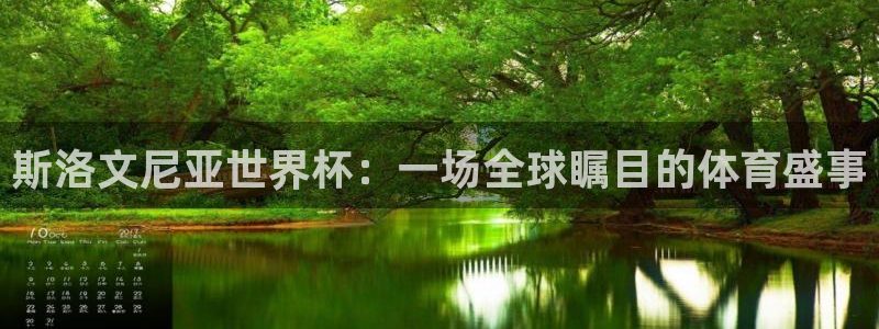 美国世界杯：斯洛文尼亚世界杯：一场全球瞩目的体育盛事