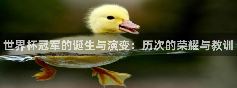 世界杯预选赛2026：世界杯冠军的诞生与演变：历次的荣耀与教训