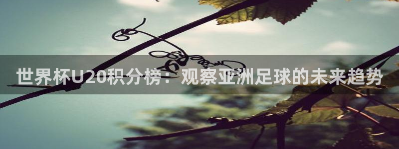 今年的世界杯：世界杯U20积分榜：观察亚洲足球的未来趋势